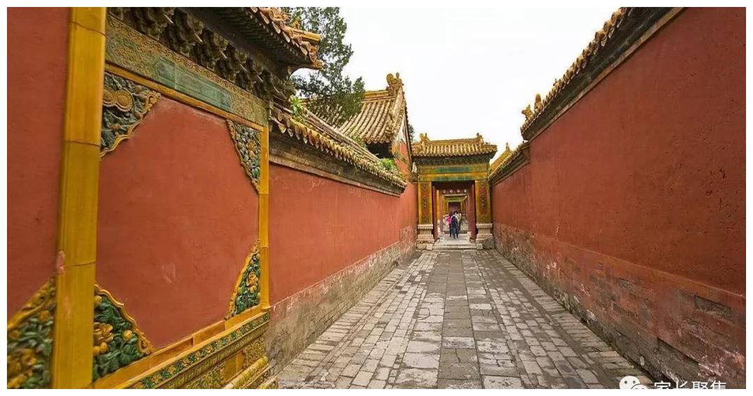 故宫为什么没有树?听导游介绍之后,感慨古人聪