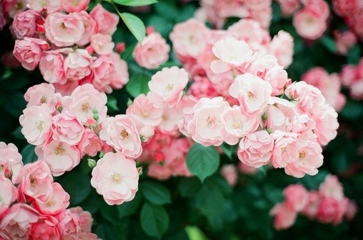 中国银行招聘5000名员工,要求降低大专可报!