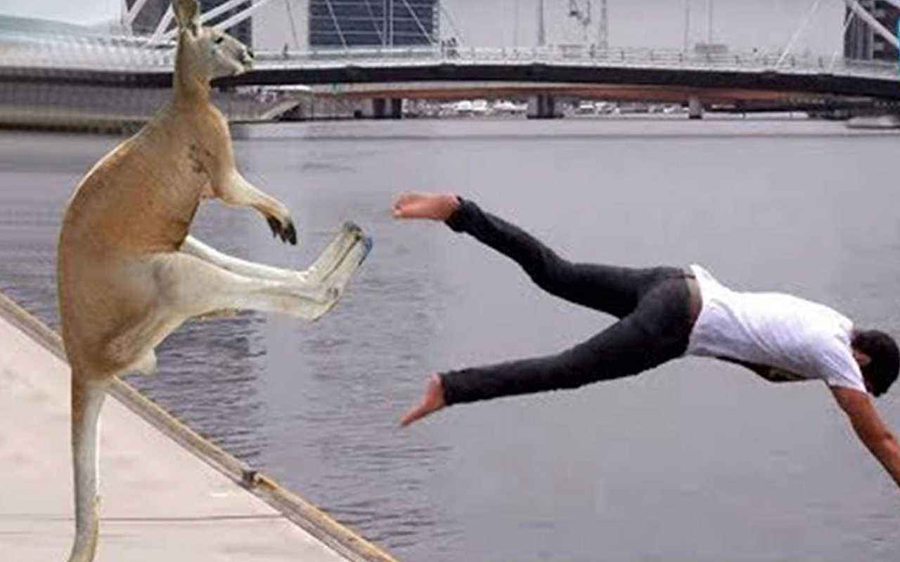 威胁的搞笑图片