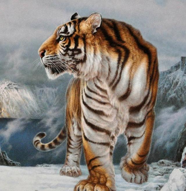 巴西土豪养世界上最大的老虎为宠物,吓死宝宝了!