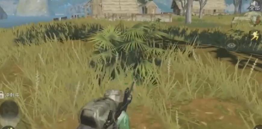 刺激战场:在雨林地图有这件衣服堪比吉利服 不