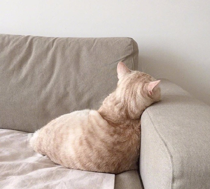 死亡跟睡觉一样感觉吗图片