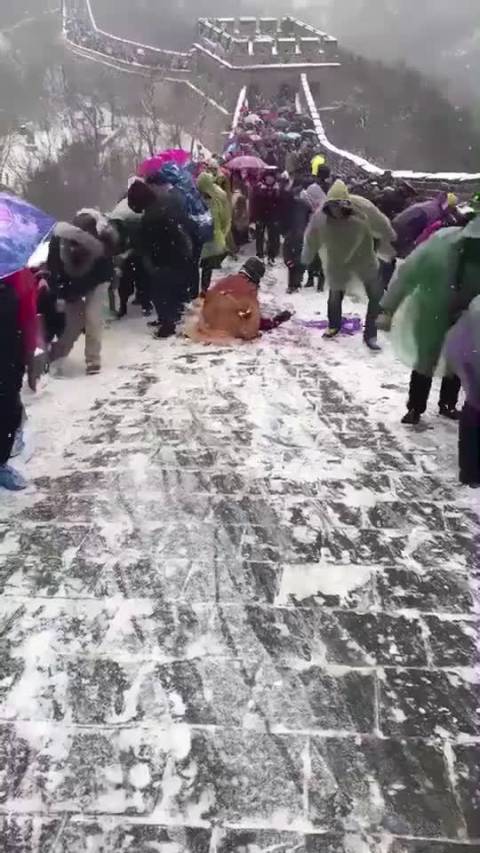 长春看点 【植物大战僵尸 长城特别版】 清明时节雪纷纷  噼里啪啦都摔昏...