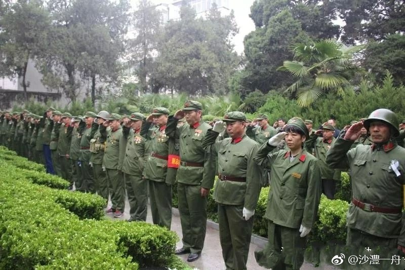 敬礼!河南十八地市参战老兵齐聚漯河临颍缅怀