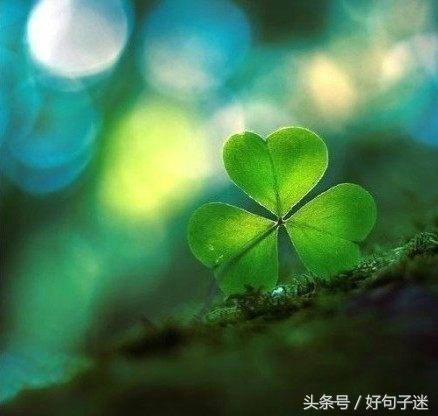 2018微信最火的心情说说短句,句句吸引人,刷爆