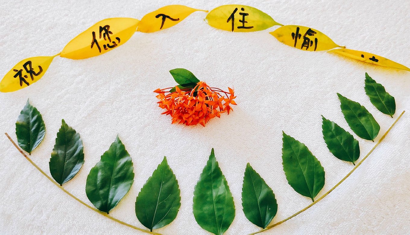海棠湾背后的别样风情——三亚万丽度假酒店三日行记