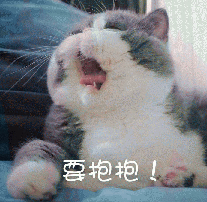 喵咪表情包ε"对方拒绝了你的摸摸