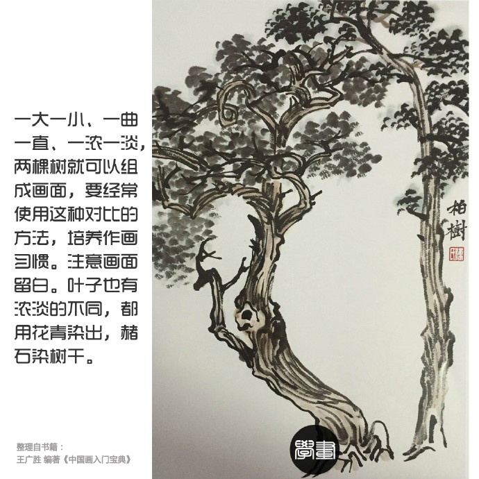 国画树法,柏树的画法。@微博国画