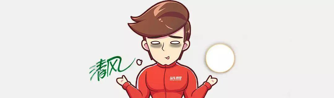 这些都是车生赢家