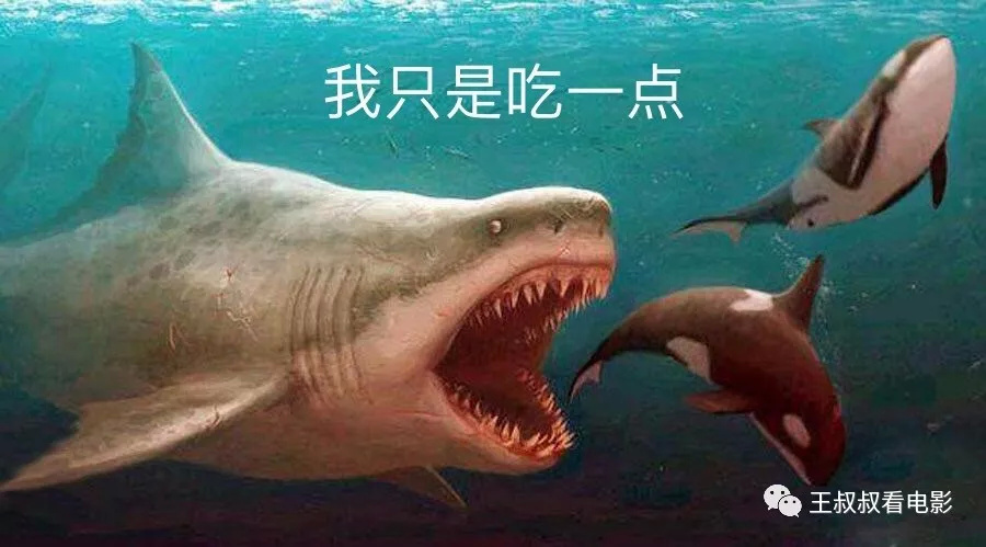 《巨齿鲨》:一个始乱终弃的爱情故事