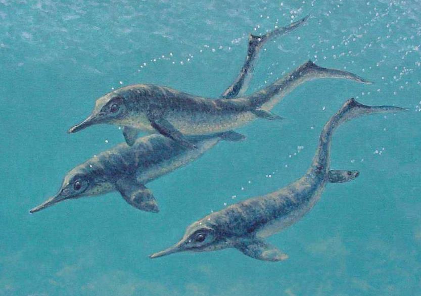 鱼龙什么成语_成语故事图片