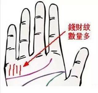 有富贵命的人的手相是什么样子的