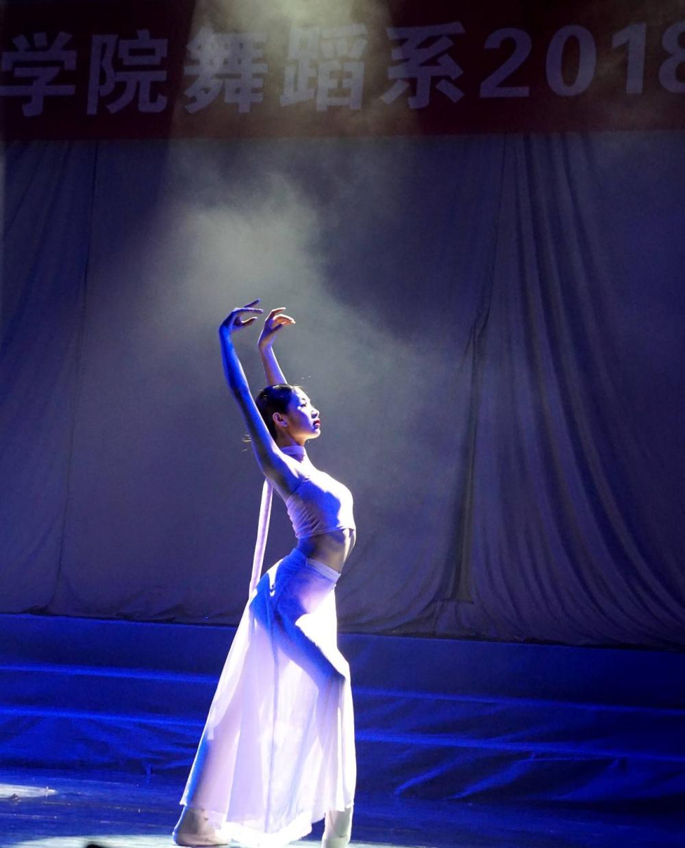 华中艺术学校舞蹈系(华艺舞蹈艺术学校简介)