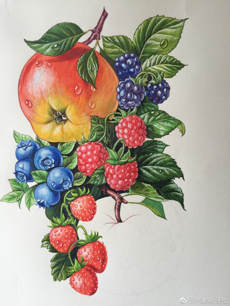 水果画图片大全 彩铅_水果画图片大全 彩铅的图库