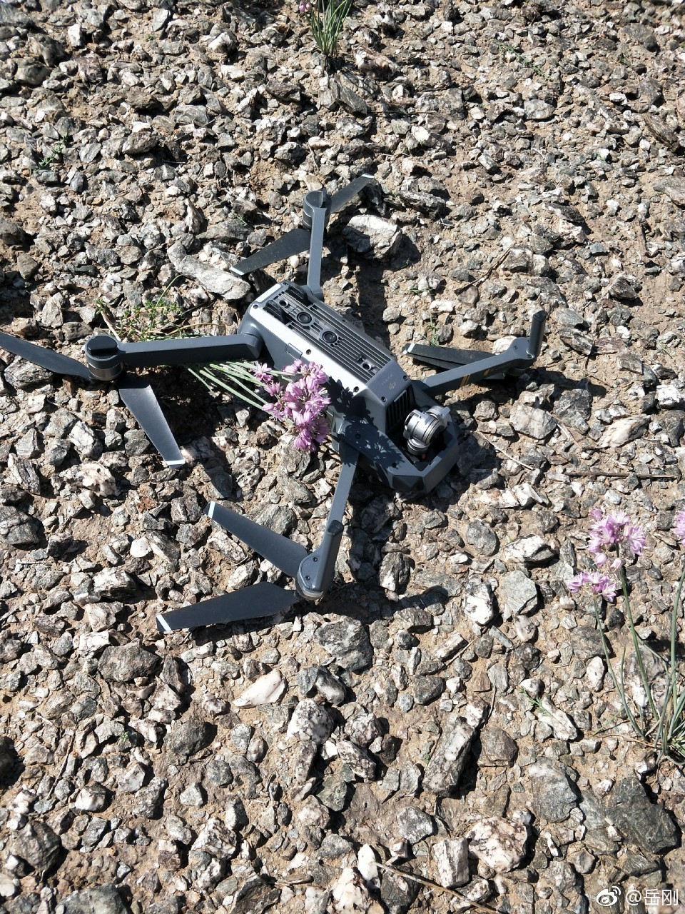 航拍摔了无人机怎么找回?本人大疆御在航拍