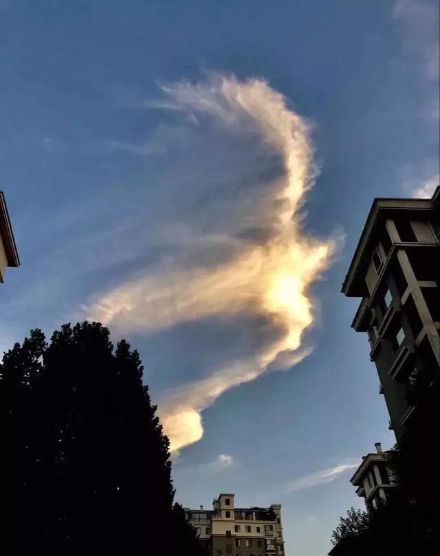 天空有"凤凰",你们看到了吗?