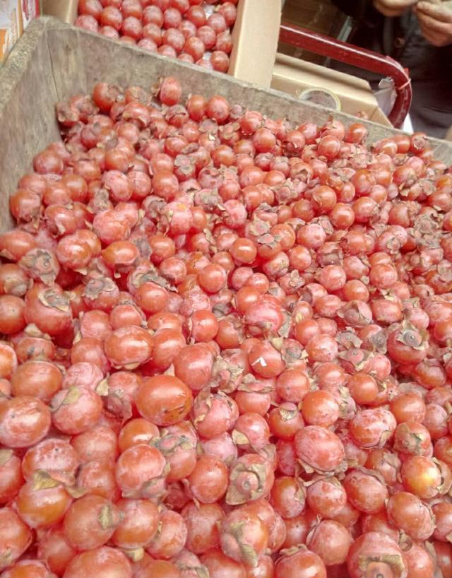 咸阳,你与西安只是一条渭河的距离