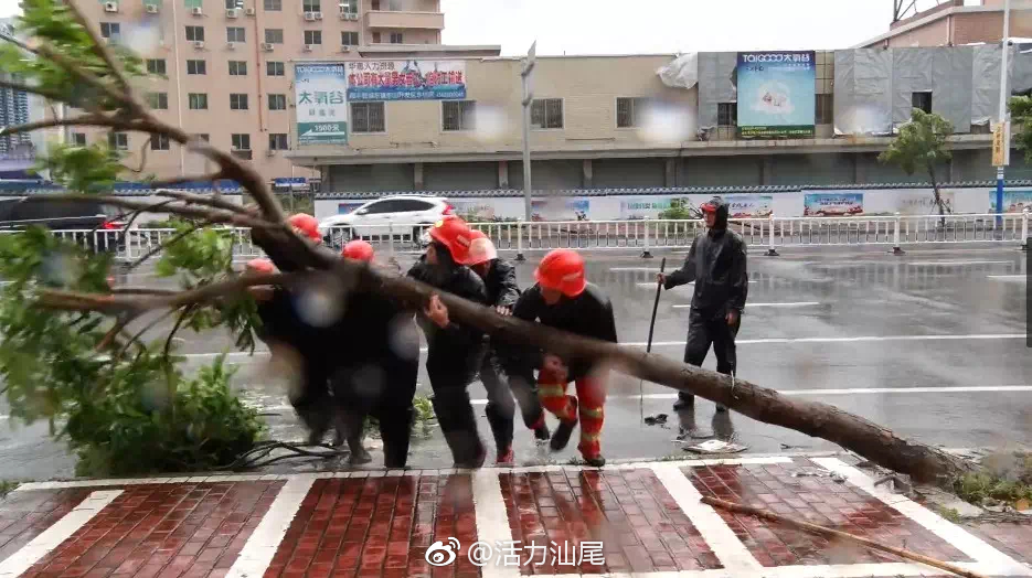 台风山竹过后 海丰县灾后复产工作全面展开