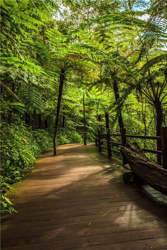 淡然自若,怡然自乐,才能在纷繁的尘世,荣辱不惊