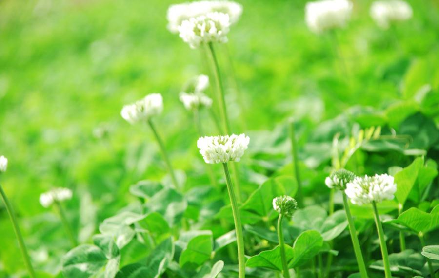 非常经典的句子:不为往事扰,余生只愿笑