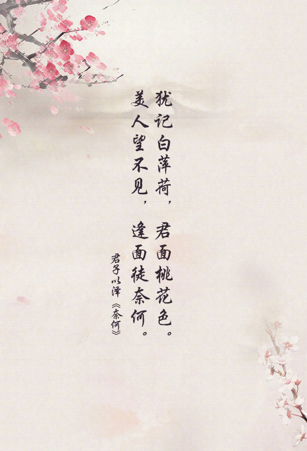 君子以泽古风小说经典语录,哪句最戳中你心?