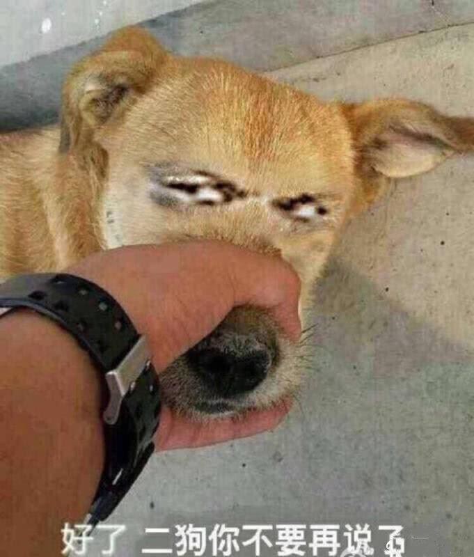 好了!二狗子!你不要再说了!