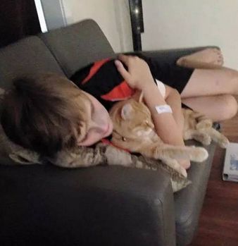 猫咪预知小主人疾病，成功挽救小主人生命