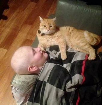 猫咪预知小主人疾病，成功挽救小主人生命