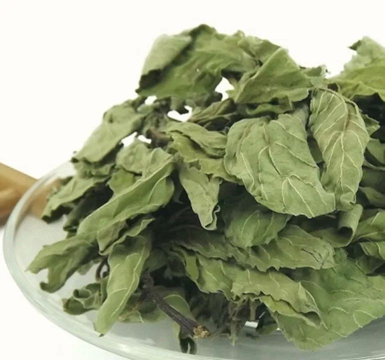 蒲公英泡水喝功效多,记住3个搭配,降糖、降脂