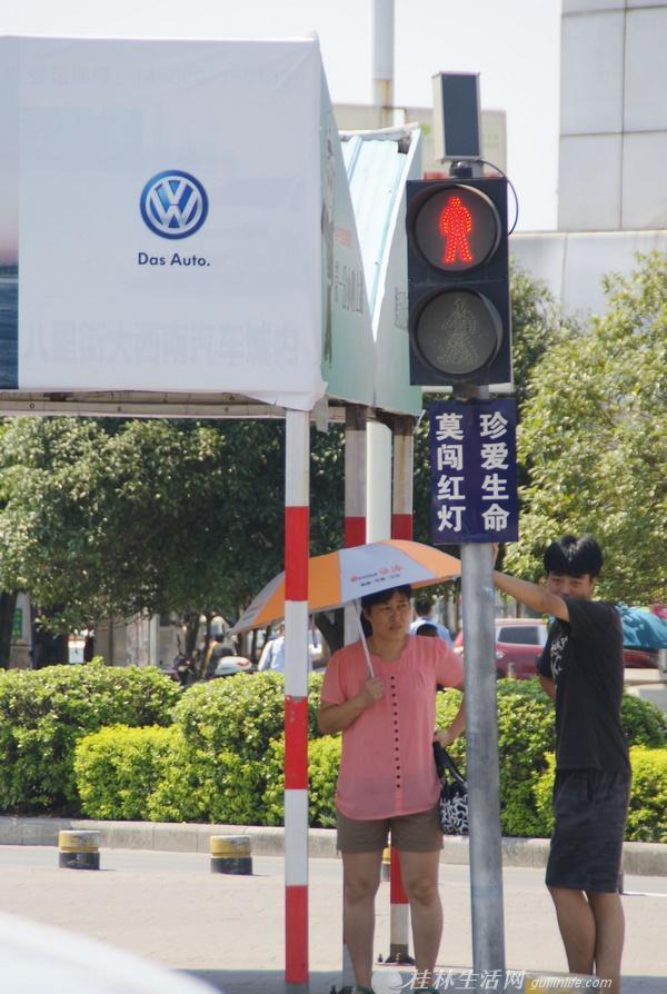 机动车礼让行人的利器