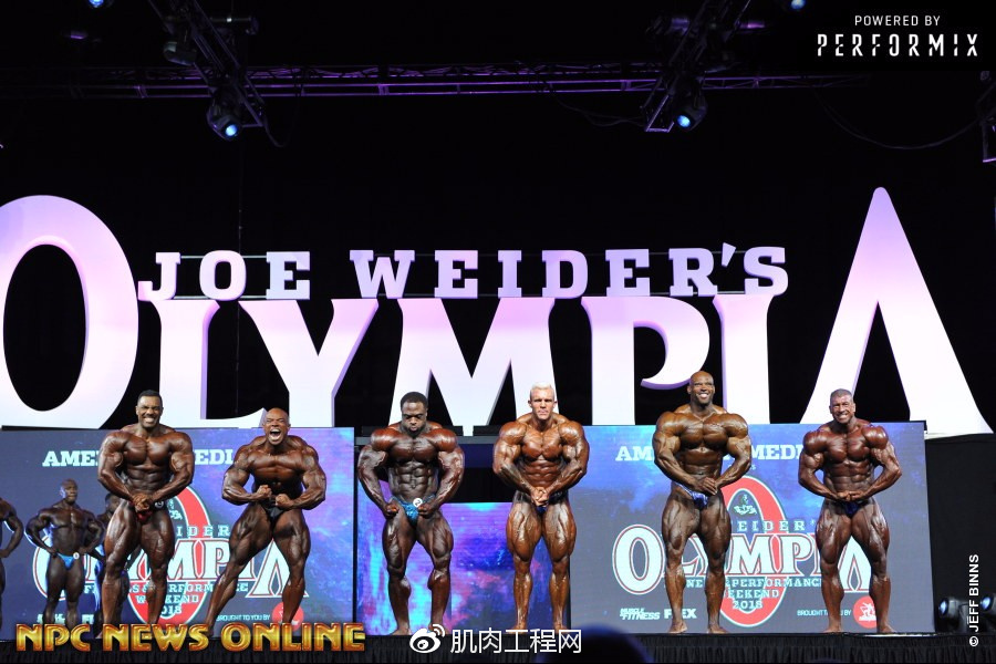 (套图)2018年奥赛职业组男子健美预赛比较评分