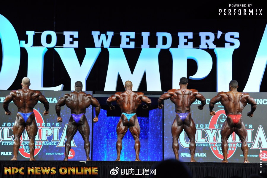 (套图)2018年奥赛职业组男子健美预赛比较评分