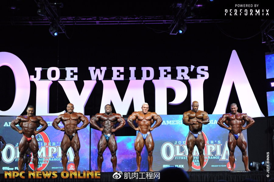 (套图)2018年奥赛职业组男子健美预赛比较评分