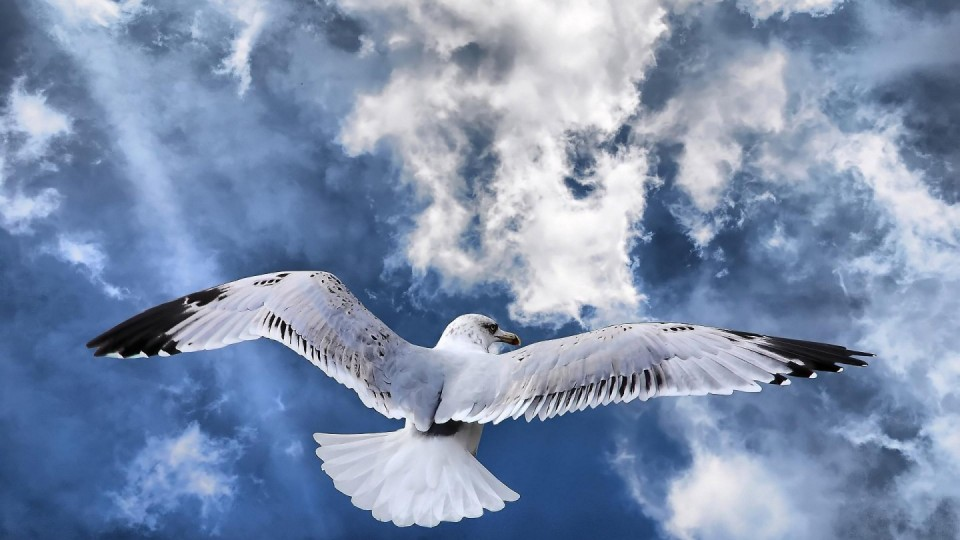 愿我们以梦为马，不负韶华!