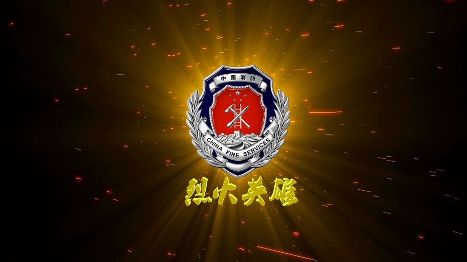 停用武警制服之后消防员已有新服装,胸徽区分