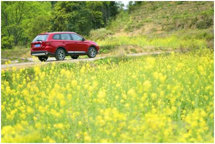 龙抬头宜春游，给自己准备一次城市大出逃