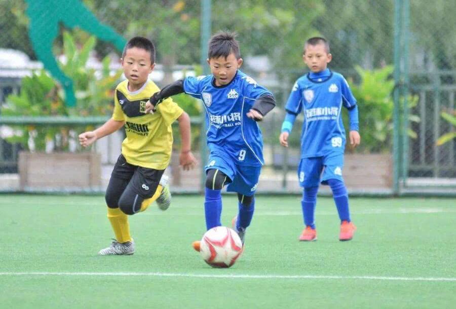 中国足球青训因腾讯得到拯救!董路微博宣告:官