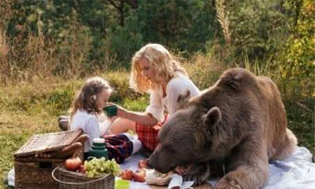 为什么这么多的俄罗斯人养熊,却没有听说过有