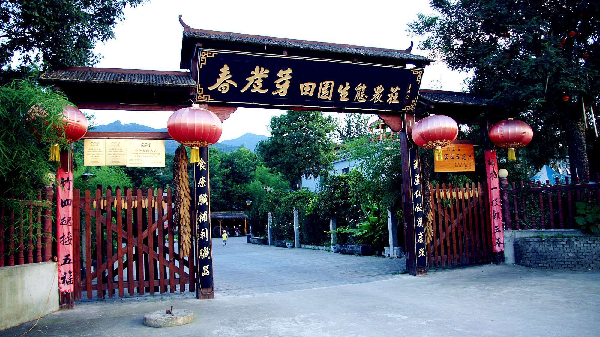 秦岭七十二峪耿峪23度赏绿游玩戏水,春发芽品正宗陕西农家菜