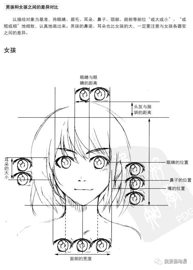 漫画技法|| 不同角度脸型画法