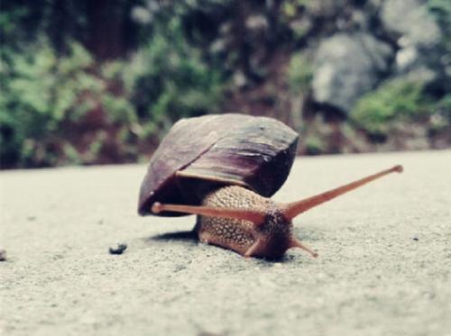 安徽3所高校入选双一流大学名单! 看一看是不