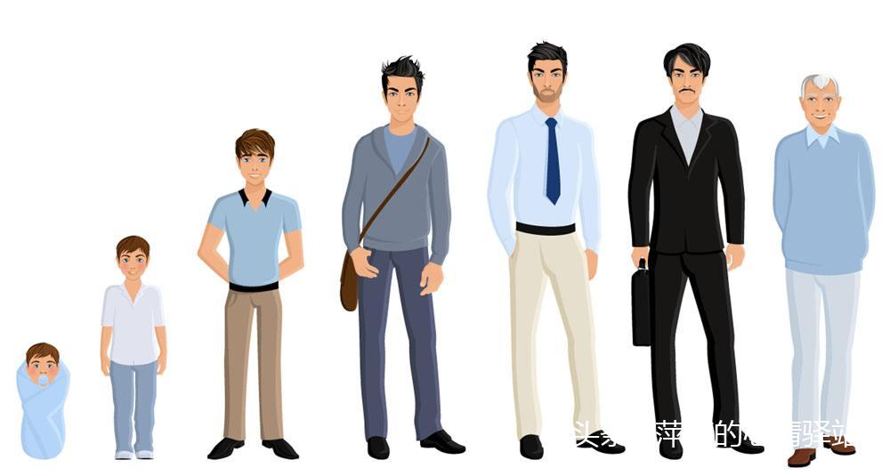 人的一生成长过程图