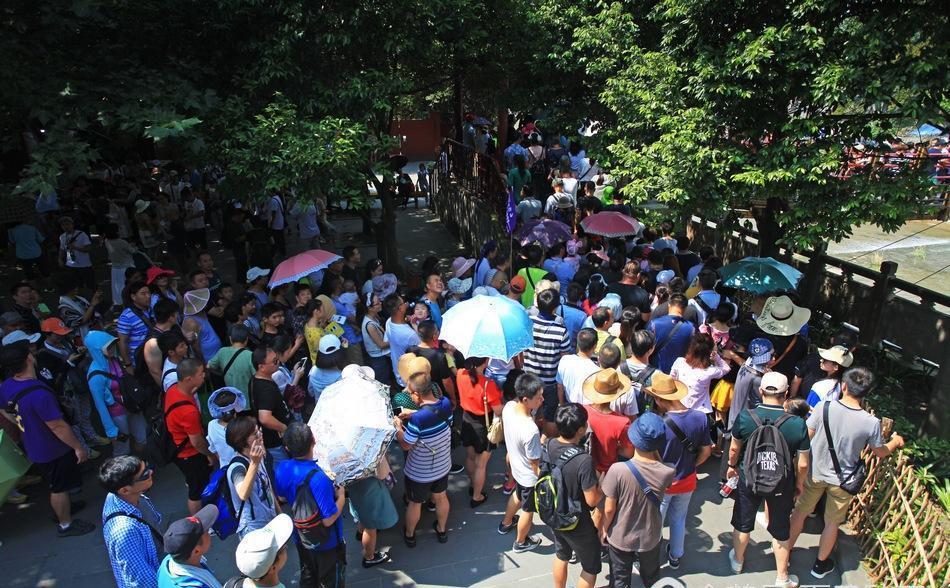 江堰景区门票90元还无观光车票, 游客排长队过