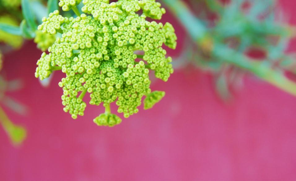 非常经典的句子:不为往事扰,余生只愿笑