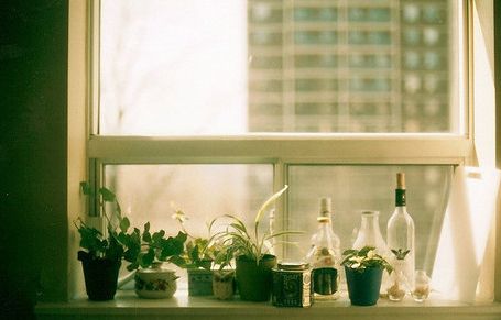 男子离婚时选择净身出户,并独自抚养孩子,若想