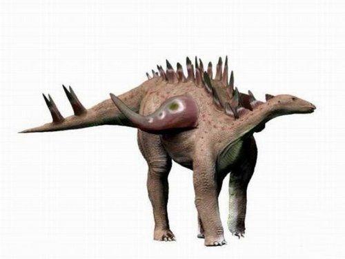 最怪的动物打一成语是什么_这是什么成语看图(3)