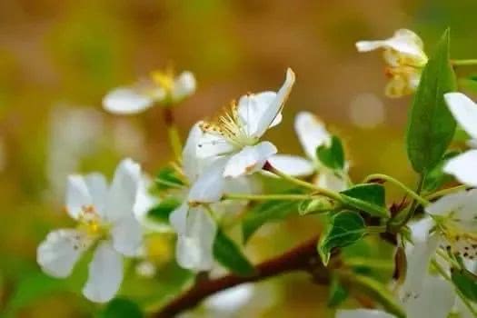 十首世界著名浪漫钢琴曲,一辈子听不腻!