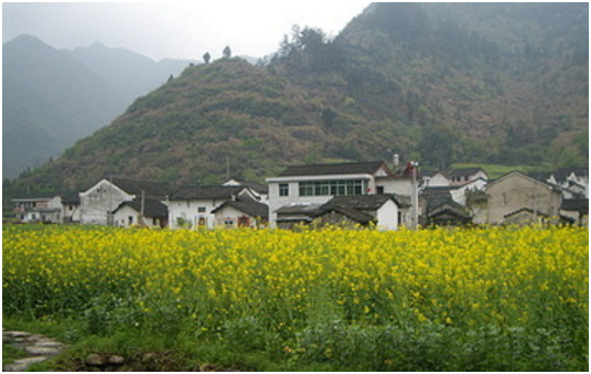 安徽最穷的三个城市里,其中黄山倒数第一,有