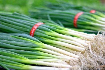 香菜根、白菜根、葱须,这些厨余垃圾,竟然比药物还管用