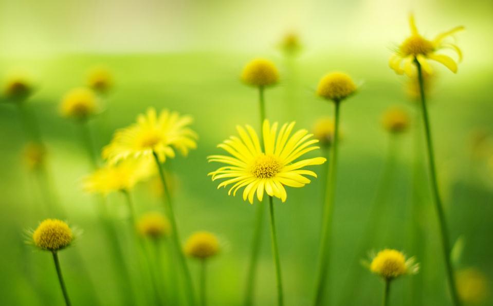 非常经典的句子:不为往事扰,余生只愿笑